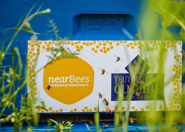 Bienen vor Near Bees Logo